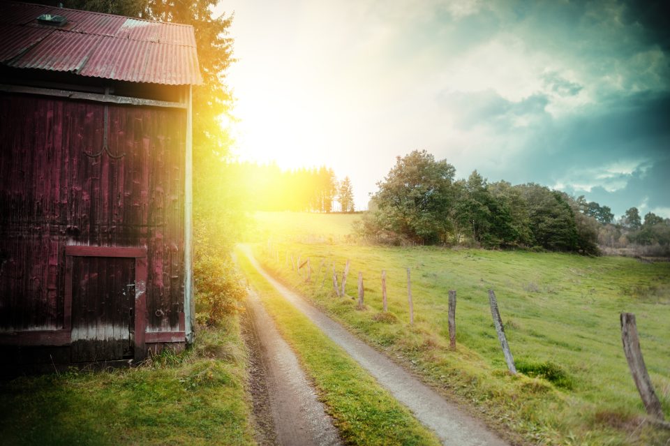 Bigstock Summer Landscape With Old Barn